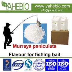 Murraya paniculata flavour fruity flavour