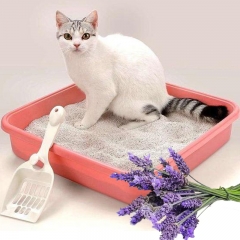 fragrance for litter box