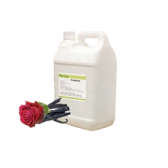 Perfume Oil Fragrance