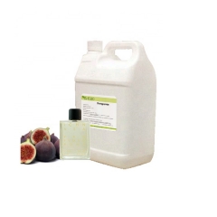 Perfume Oil Fragrance