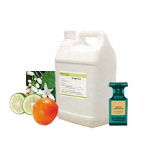 Perfume Oil Fragrance