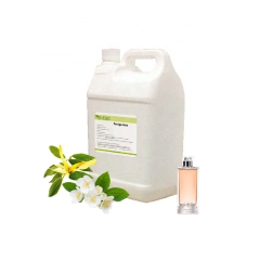 Perfume Oil Fragrance