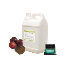 Perfume Oil Fragrance