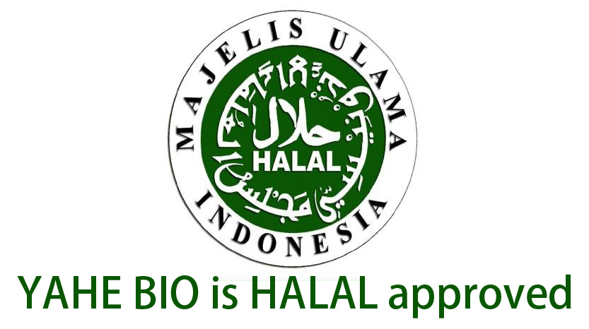 2020-2021 YAHE HALAL Certificate